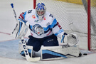 Hokej, HC Bílí Tigři Liberec Roman Will
