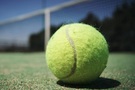 tenis---ilustracni-foto-tenisovy-balonek-u-site.jpg