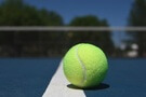 Tenis - ilustrační foto tenisový balonek u sítě na tvrdém povrchu