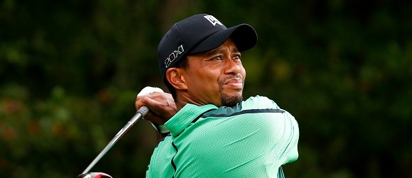 Golf, Tiger Woods - Zdroj Debby Wong, Shutterstock.com