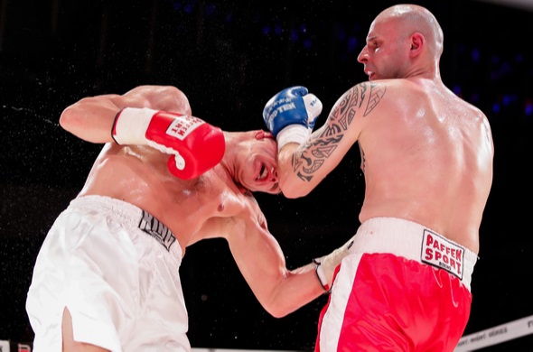 boxerský duel - Zdroj Petr Toman, Shutterstock.com