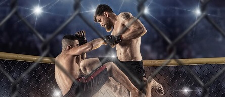 Bojové sporty, MMA, UFC, muži
