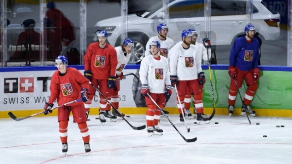Čeští hokejisté na loňském MS v hokeji