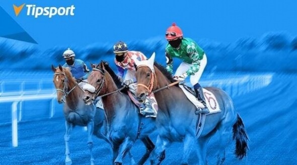 Velká pardubická u Tipsportu - spoustu kurzů, živý přenos