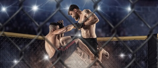 Bojové sporty, MMA, UFC, muži