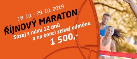 SYNOT TIP: říjnový maraton o 1 500,-