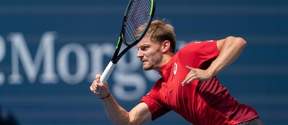 Tenis, David Goffin - lev radin, Shutterstock.com