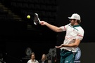 Tenis, Reilly Opelka -  lev radin, Shutterstock.com