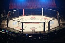 Další turnaj UFC Fight Night se koná už tuto sobotu