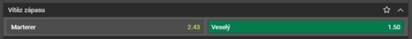 Marterer vs. Veselý