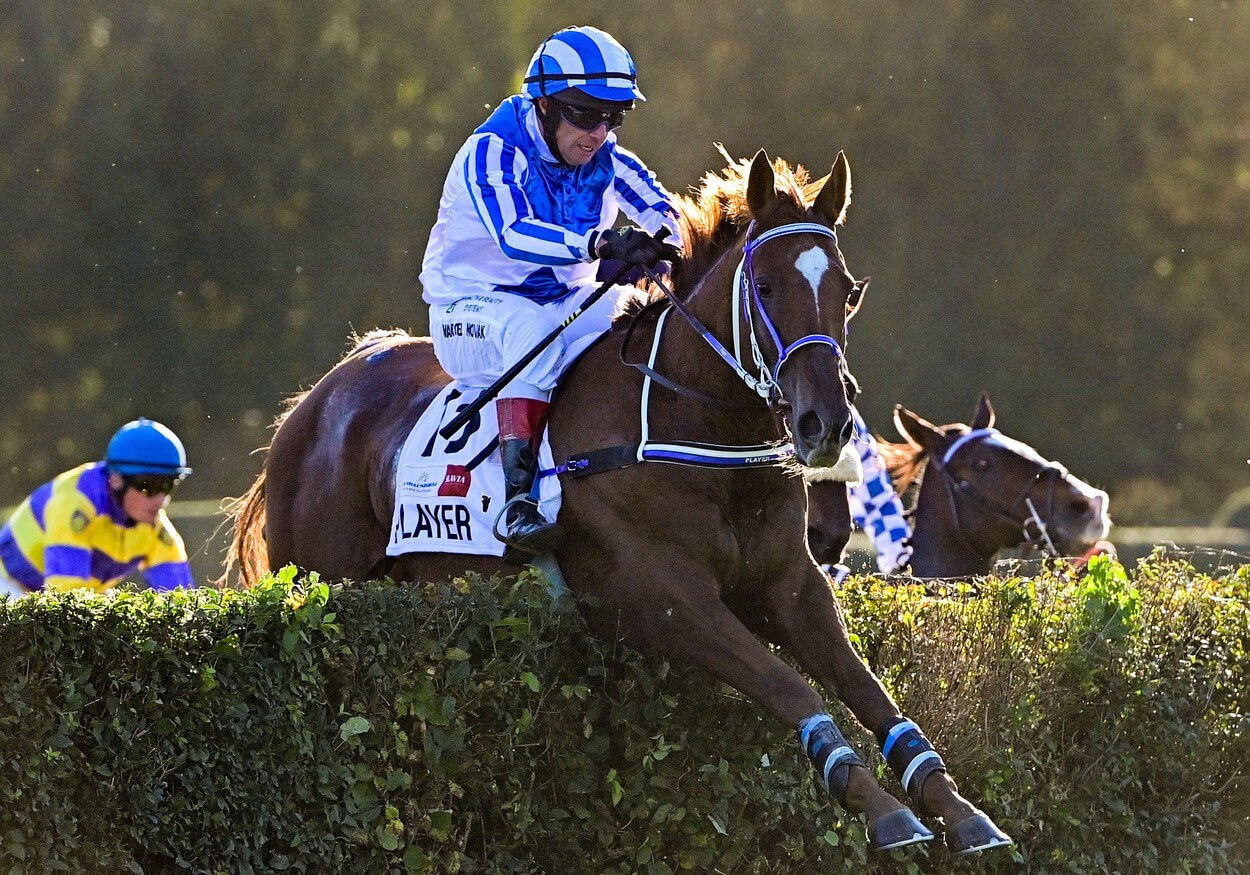 Dostihy, Velká pardubická, kůň Player s žokejem Marcelem Novákem, Velký anglický skok