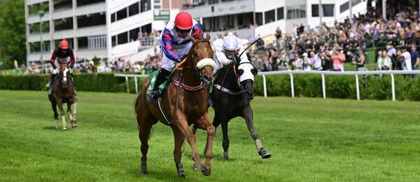 Dostihy, první kvalifikace na Velkou pardubickou, vpředu Chelmsford s Janem Kratochvílem