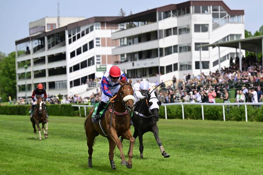 Dostihy, první kvalifikace na Velkou pardubickou, vpředu Chelmsford s Janem Kratochvílem