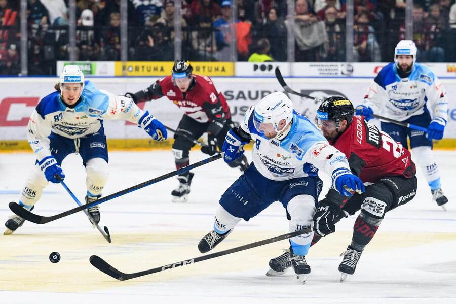 HC Kometa Brno vs. HC Sparta Praha dnes živě v TELH – stream, TV, kurzy