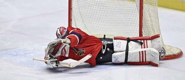 Český gólman zasahuje, parahokej