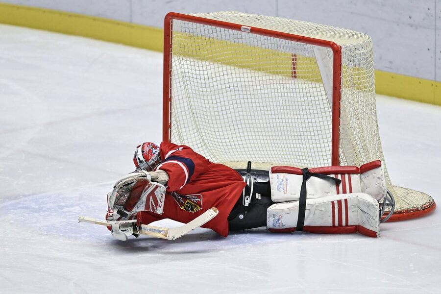 Český gólman zasahuje, parahokej