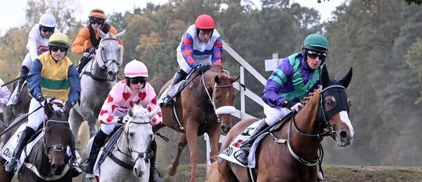 Kalendář dostihů, ilustrační obrázek, na fotce žokejové a koně