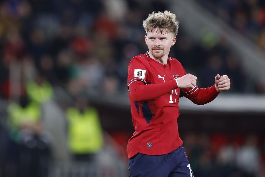 Pavel Šulc během utkání s&nbsp;Irskem