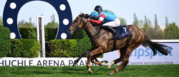 Předloňský vítěz Gomba handicapu Adam Florian na koni Hidden Colony