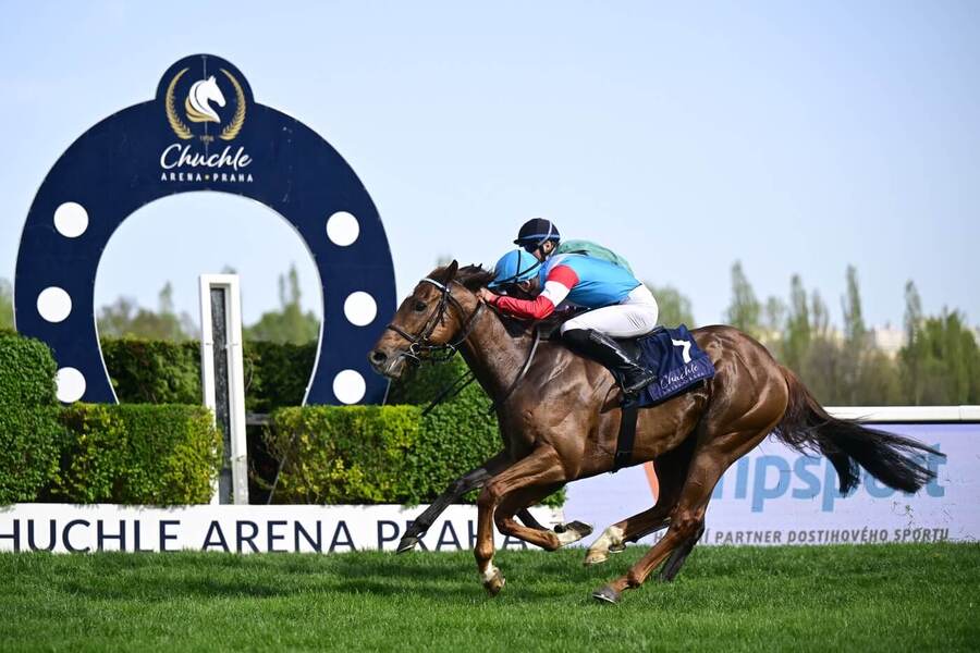 Předloňský vítěz Gomba handicapu Adam Florian na koni Hidden Colony