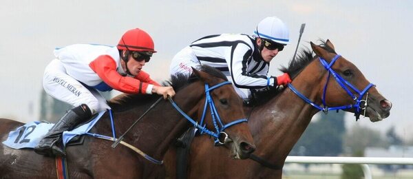 Dostihové závodiště Brno-Dvorska