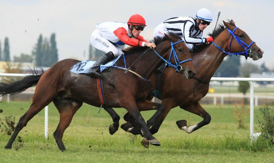 Dostihové závodiště Brno-Dvorska