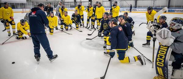 Trénink švédské hokejové reprezentace před Beijer Hockey Games