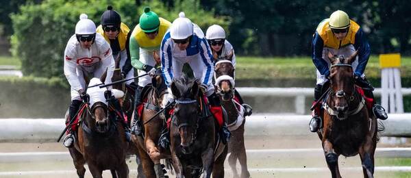 Kvalifikace na Velkou pardubickou 2026