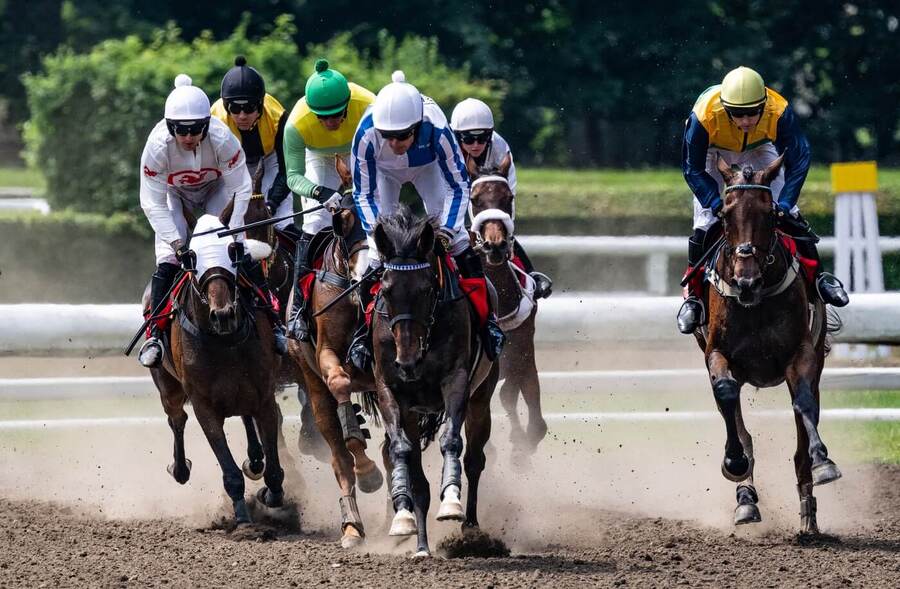 Kvalifikace na Velkou pardubickou 2026