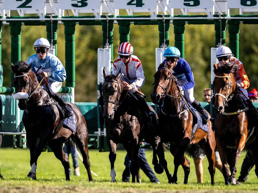 Start závodu St Leger v&nbsp;Chuchli