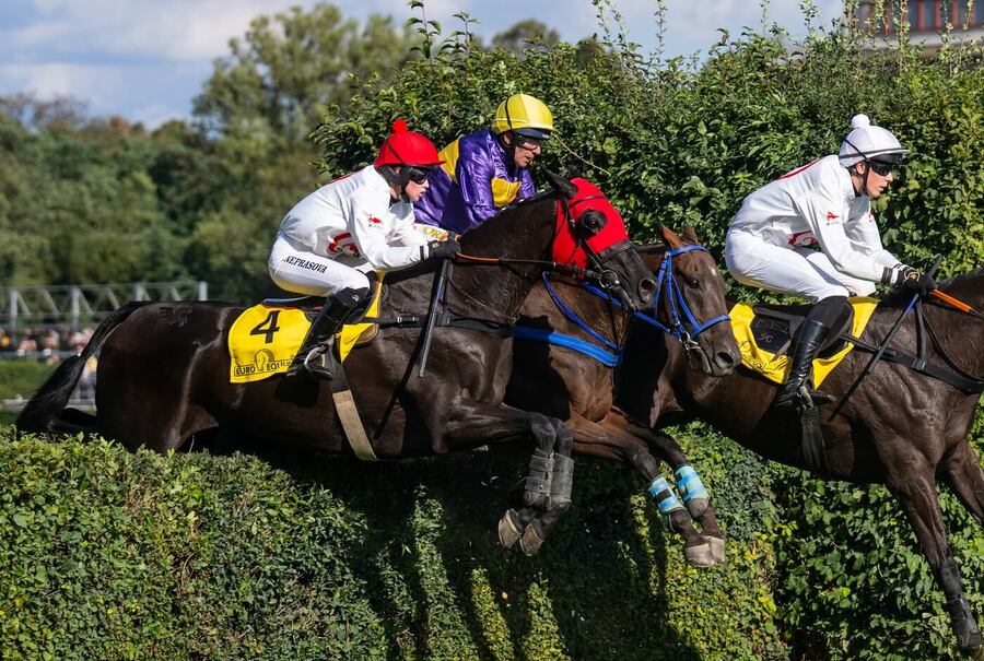 Kůň Godfrey s&nbsp;Lenkou Neprašovou v&nbsp;kvalifikaci na Velkou pardubickou