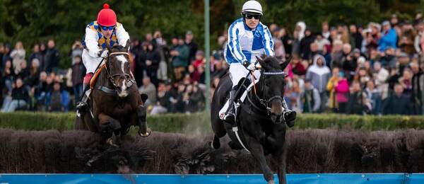 Velká pardubická 2026 LIVE
