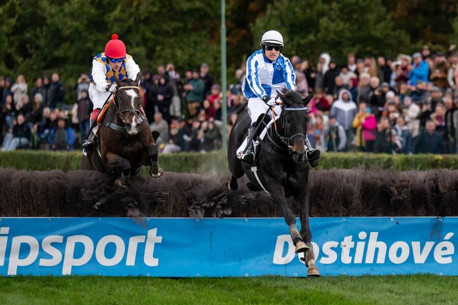 Velká pardubická 2026 LIVE